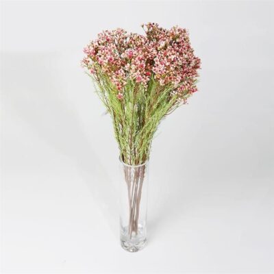 Single Plum Blossom 3 Head