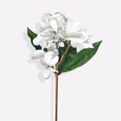Single-Frangipane 4 Head(White)