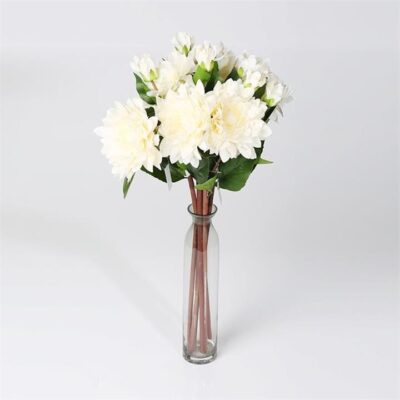 Single Dahlia Pinnata 2 Head