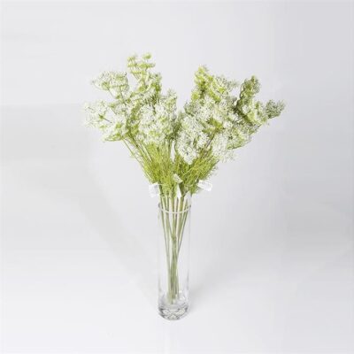 Single White Lace Flower