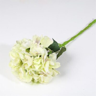 Single Hydrangea