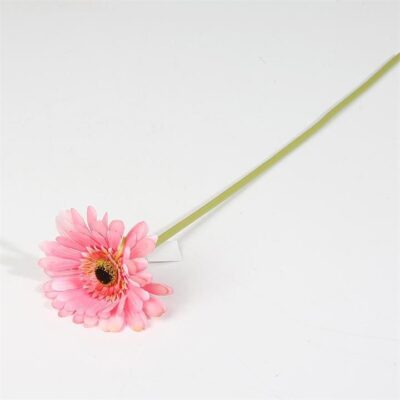 Single Gerbera