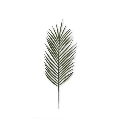 Palm Leaf