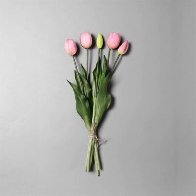 Tulip Bouquet 5 Head